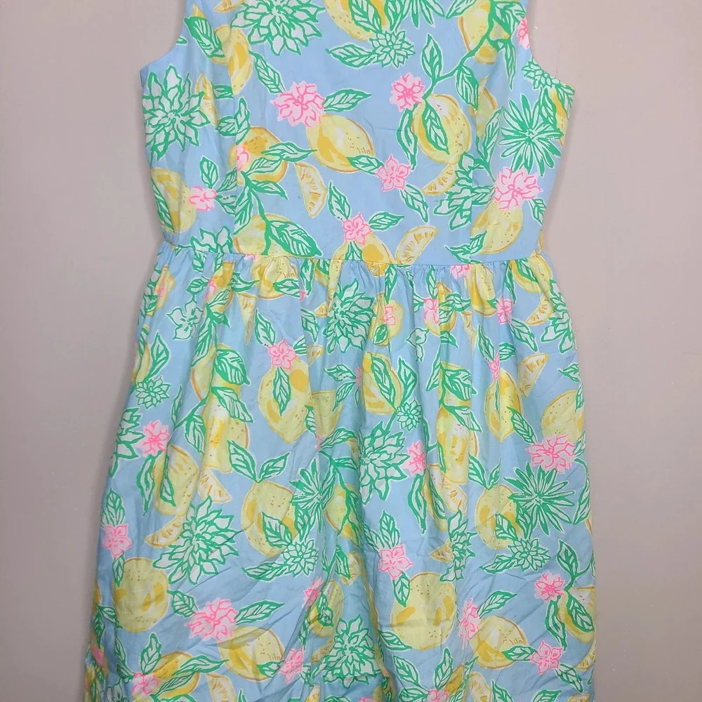 Lilly Pulitzer Girls Bellefleur Dress Blue Floral Size 10